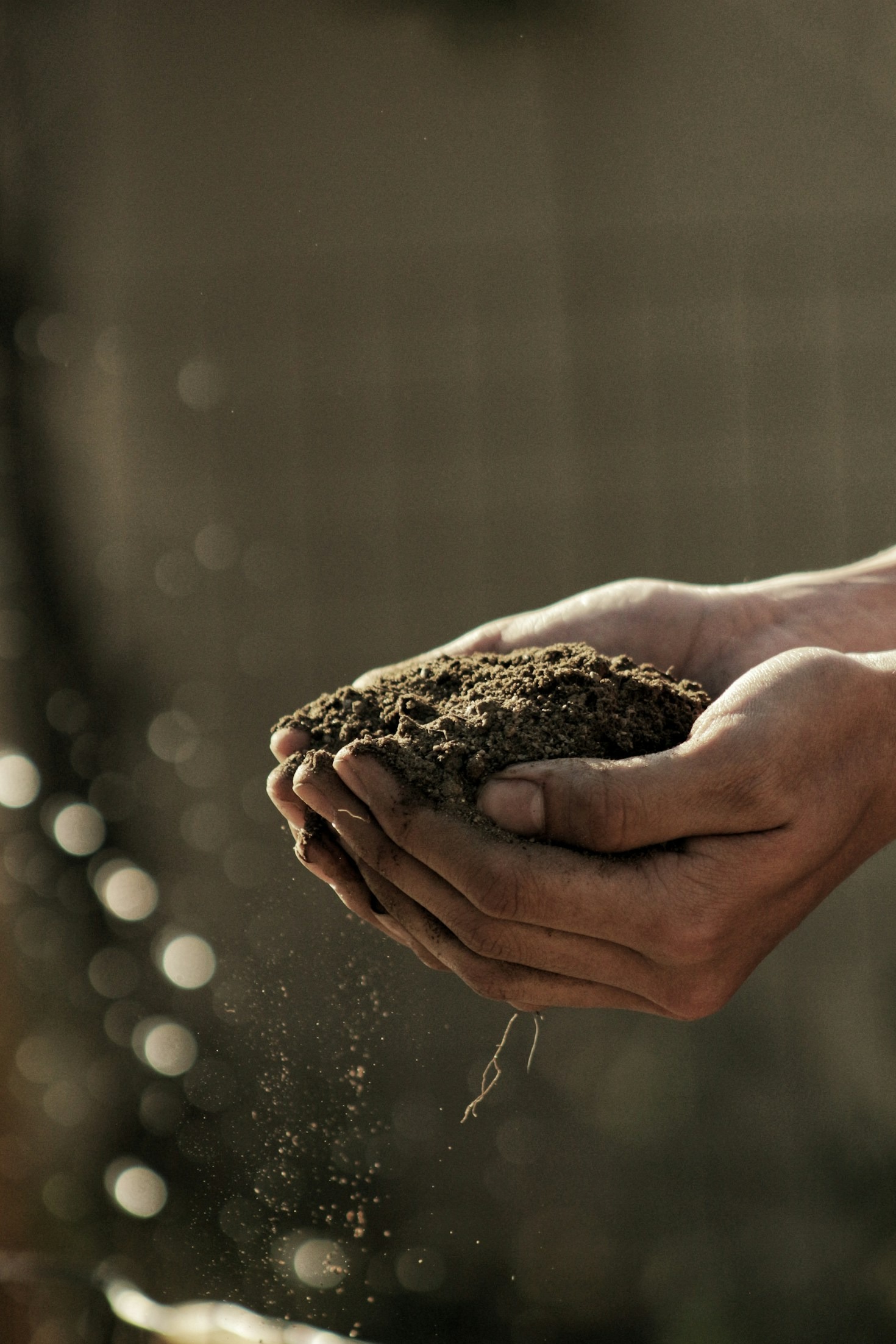 Choosing the Right Tools for Cannabis Farming